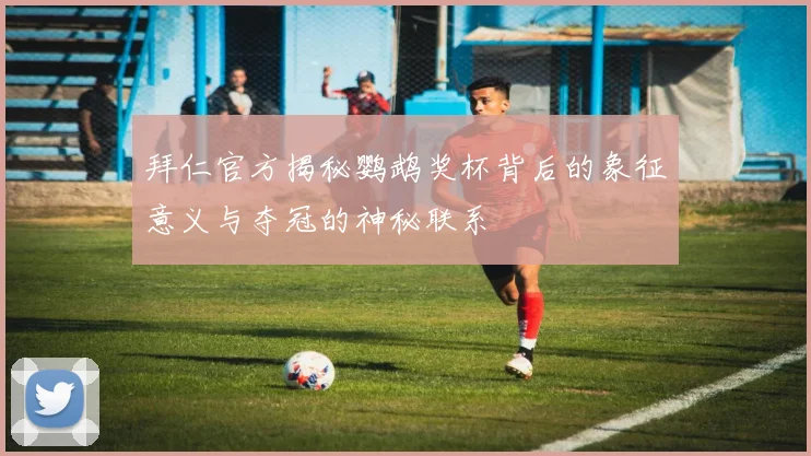 拜仁官方揭秘鹦鹉奖杯背后的象征意义与夺冠的神秘联系