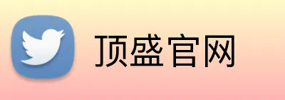 顶盛官网 logo